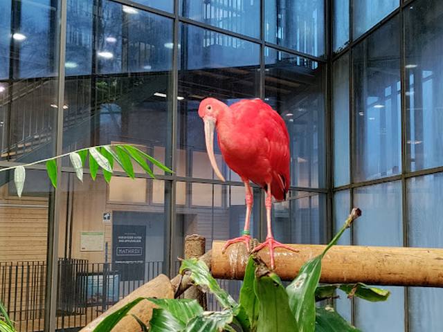 Universeum Museum Gothenburg - متحف يونيفرسيوم غوتنبرغ