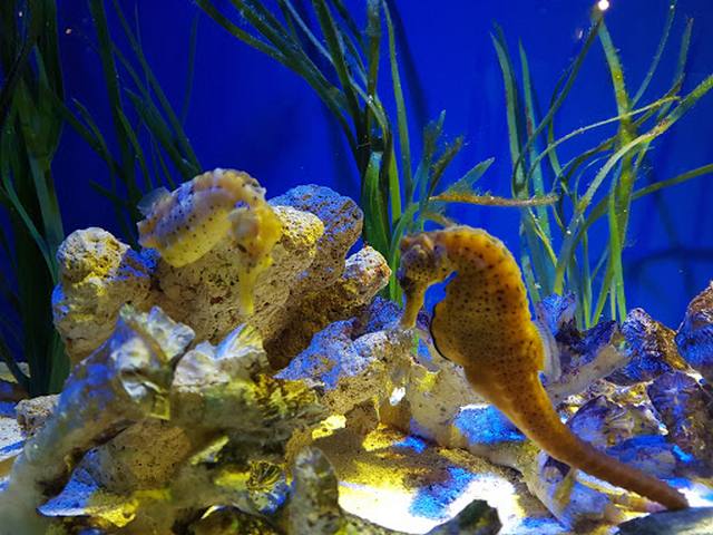 Universeum Museum in Gothenburg - متحف يونيفرسيوم