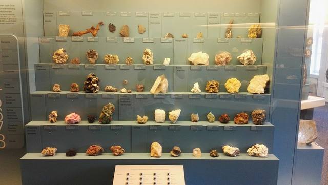 متحف كانتون في لوزيرن - Natur Museum Luzern