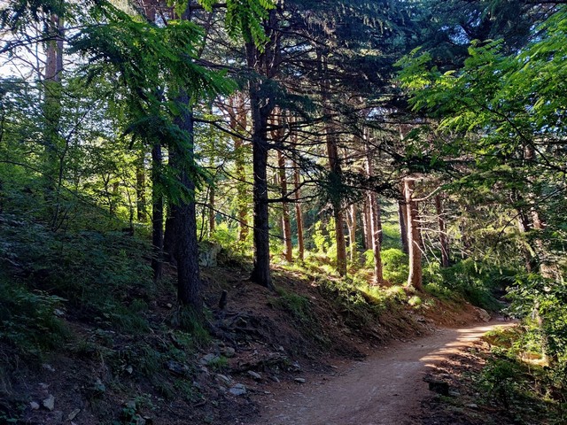 جبل باركو ديلي مورا في جنوة - Natural Area Parco Delle Mura