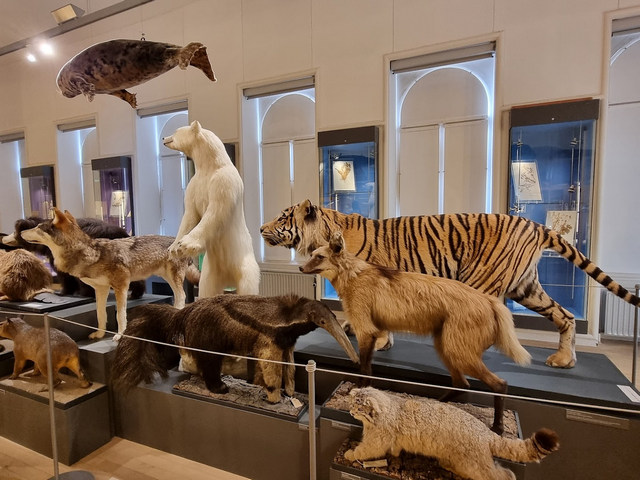 متحف التاريخ الطبيعي روتردام - Natural History Museum Rotterdam