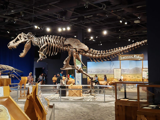 Orlando Science Museum