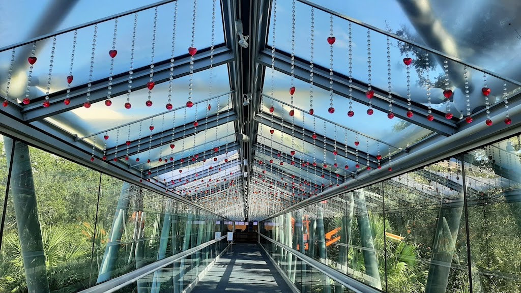 Orlando Science Museum