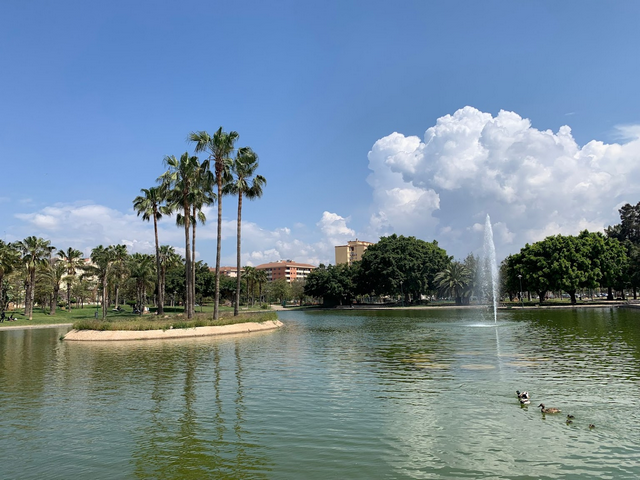 Parque de Huelin in Malaga - حديقة هولين في ملقا