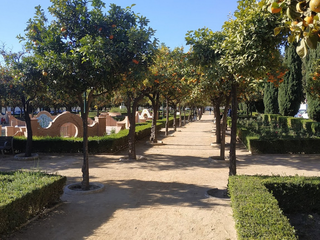 best things to do in Malaga City