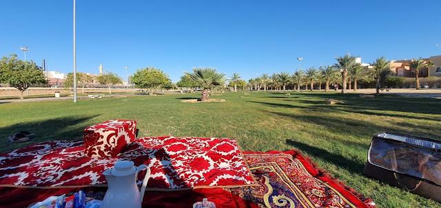 Riyadh Hills in Park