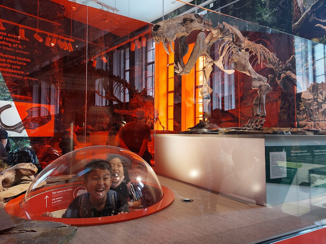 متحف أونتاريو الملكي في تورنتو - Royal Ontario Museum