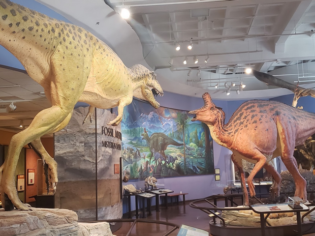 San Diego Natural History Museum