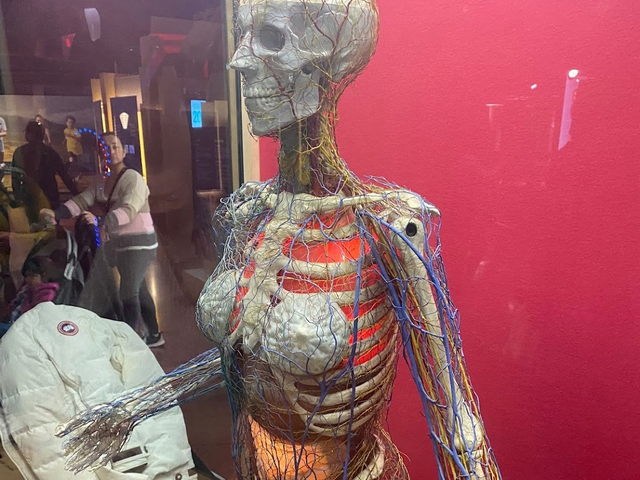 متحف مركز أونتاريو للعلوم تورنتو - Ontario Science Centre