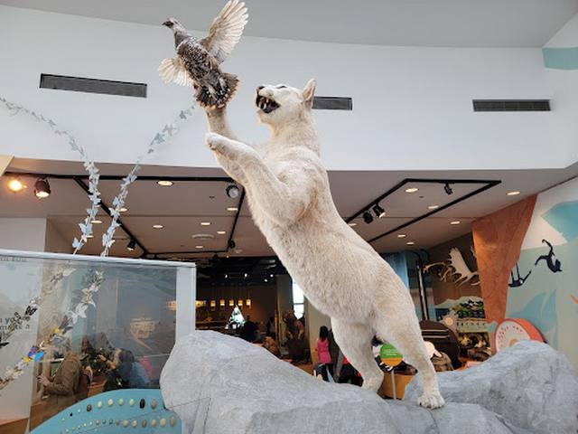 متحف عالم العلوم في فانكوفر - Science World Vancouver