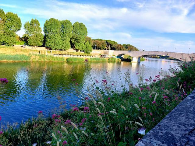 top things to do in Pisa