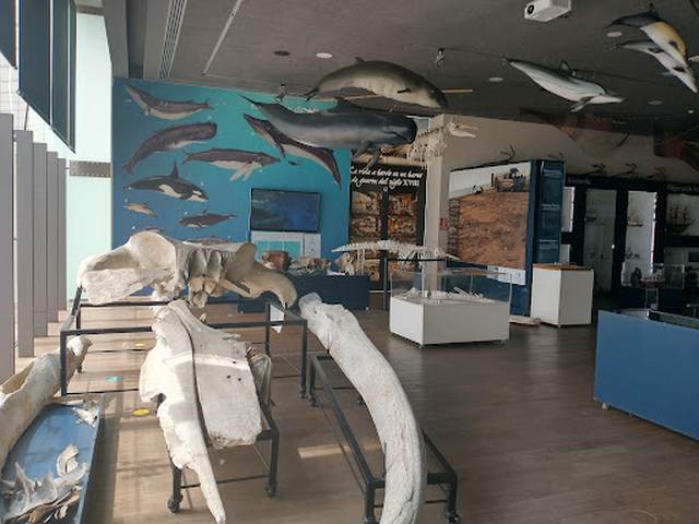 Sea Museum Alborania Malaga - متحف البورانية ملقا