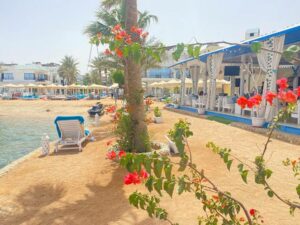 مطعم سي فرونت الغردقة
