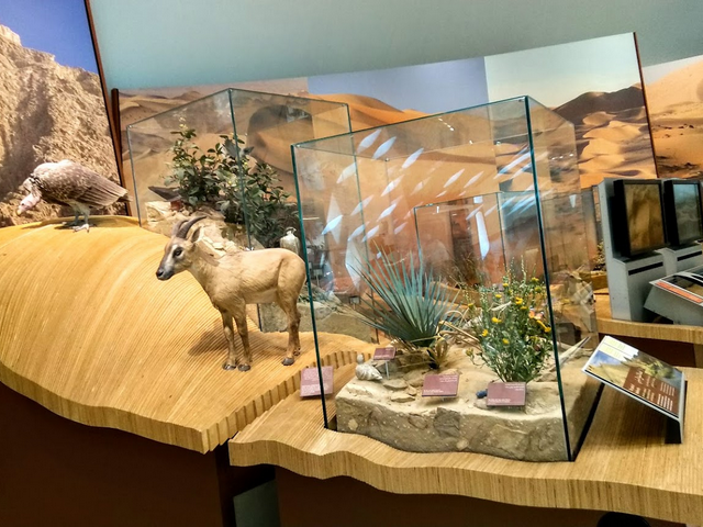 Sheikh Zayed Desert Learning Centre