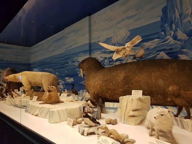 متحف ستراسبورغ للحيوانات - Strasbourg Zoological Museum