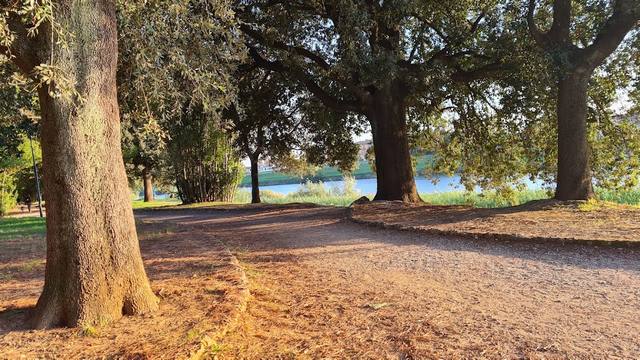 Viale delle Piagge Park Pisa