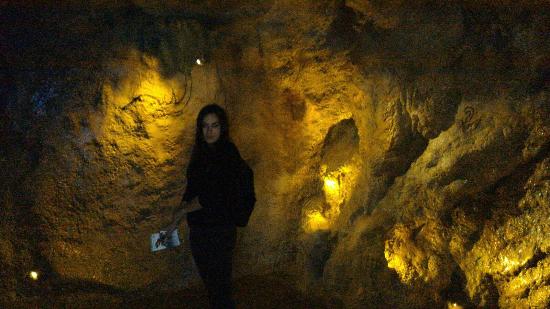 Antipa Museum in Bucharest - متحف جريجور أنتيبا بوخارست