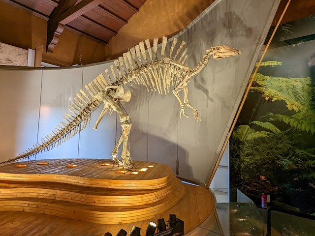 Natural History Museum Venice
