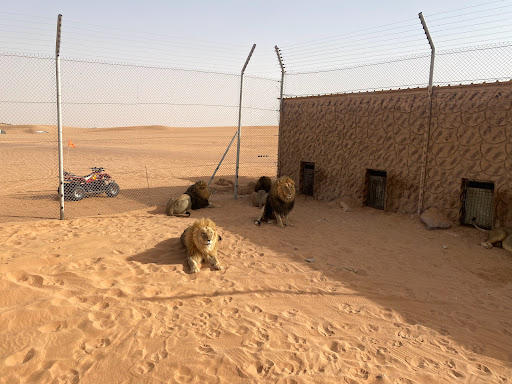 Nofa Wildlife Park Riyadh