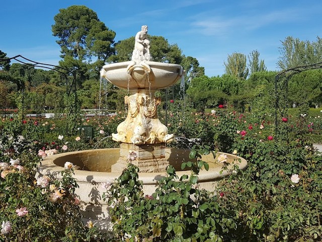 Rose Garden Madrid