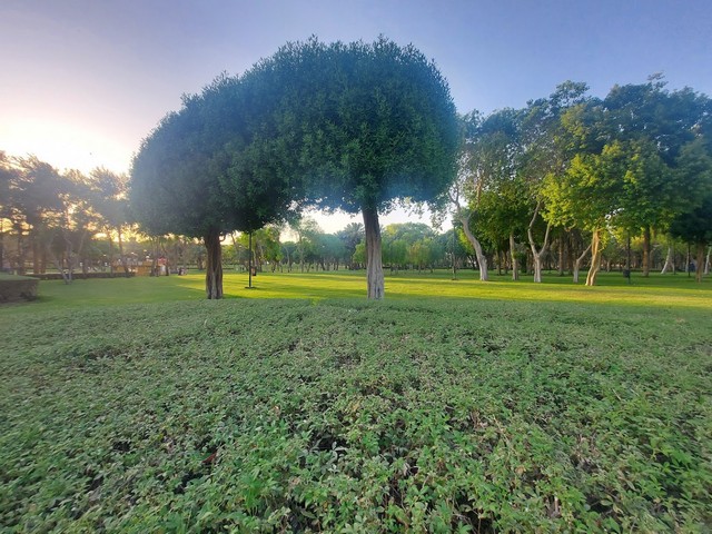 حديقة و منتزه سلام الرياض