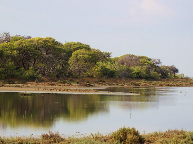 Akyatan Lake Adana