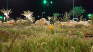 حدائق سكاكا
