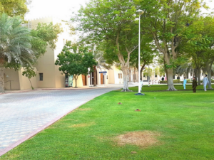 منتزه الوثبة ابوظبي