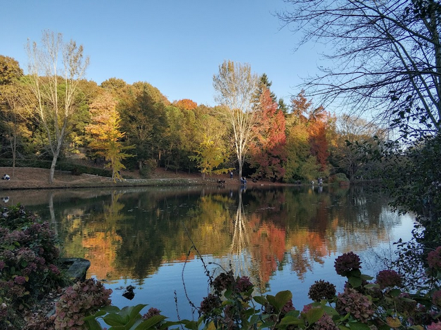 Ataturk Arboretum Forest Istanbul