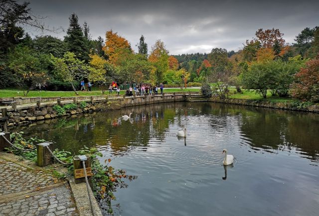 Ataturk Arboretum Forest Istanbul