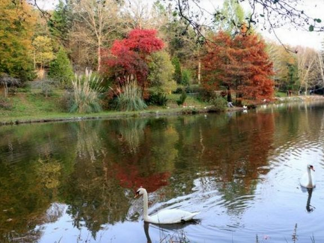 Belgrade Forest in Istanbul