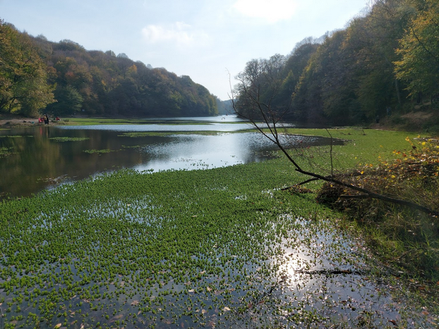 Belgrade Forest Istanbul