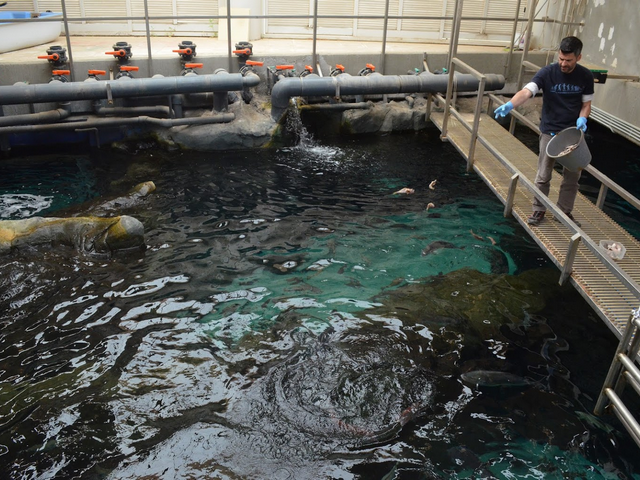 CretAquarium in Crete