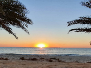 جزيرة دلما ابوظبي