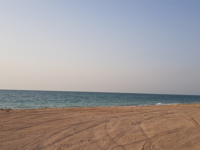 Dalma island UAE - Dalma.Island