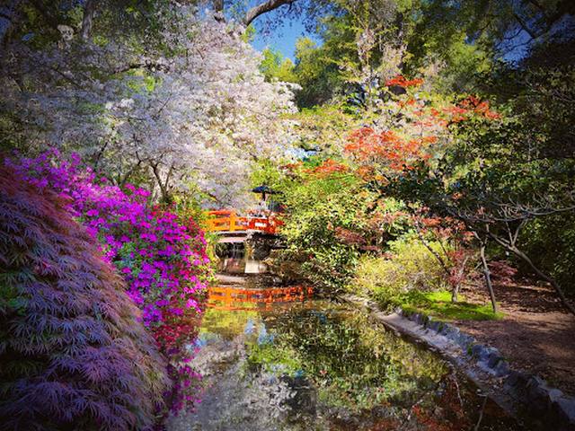 Descanso Gardens in Los Angeles