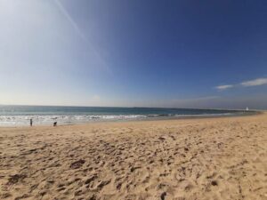 شاطئ دوكويلر العام لوس أنجلوس - best free things to do in Los Angeles