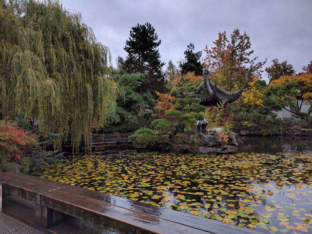 best things to do in Vancouver