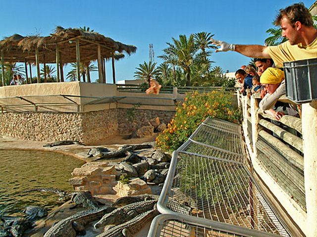 Dubai Crocodile Park