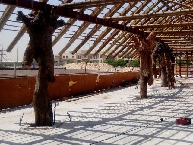 Dubai Crocodile Park