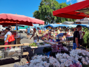 سوق المعارض في سانت بول ريونيون - Fairground Market of Saint Paul Reunion