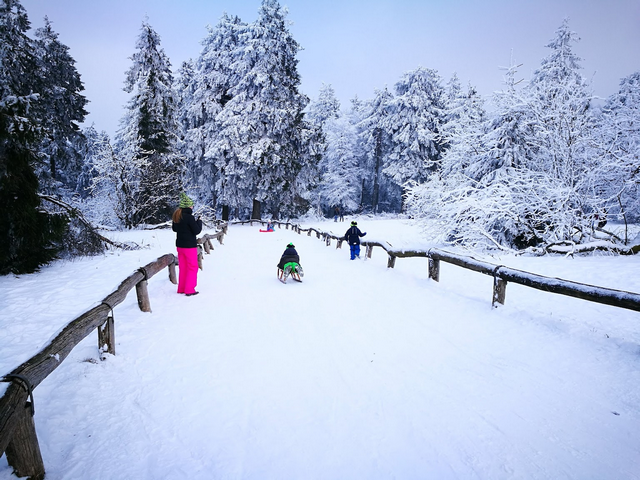 قمة فيلدبيرج في فرانكفورت - Feldberg Mountain Frankfurt