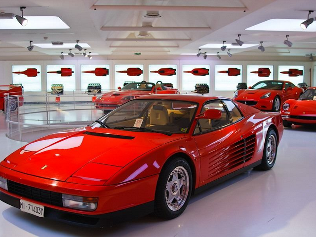 top things to do in Abu Dhabi