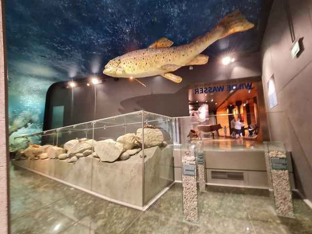 Hohe Tauern Park Museum Zell am See