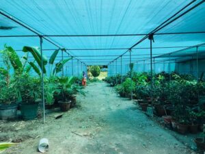 free things to do in New Delhi