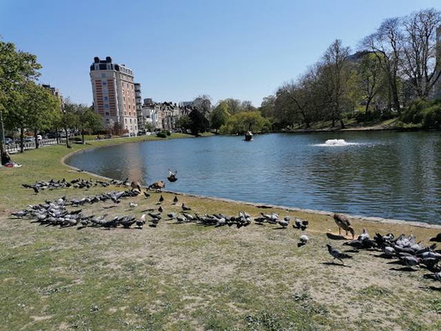 Ixelles Ponds Park Brussels
