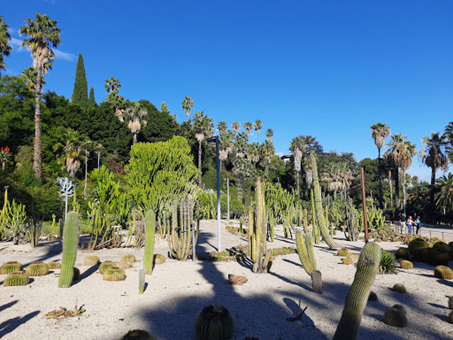 Jardins de Mossen Costa i Llobera Barcelona