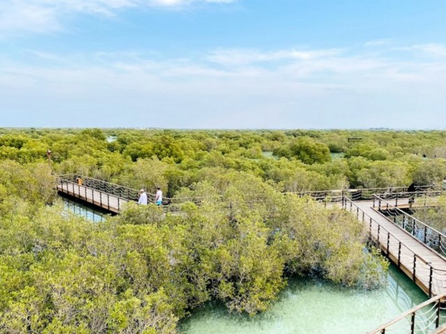 Jubail Mangrove Park Abu Dhabi