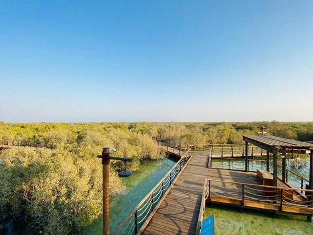 Jubail Mangrove Park Abu Dhabi