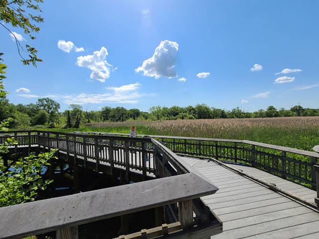 Kenilworth Park Washington